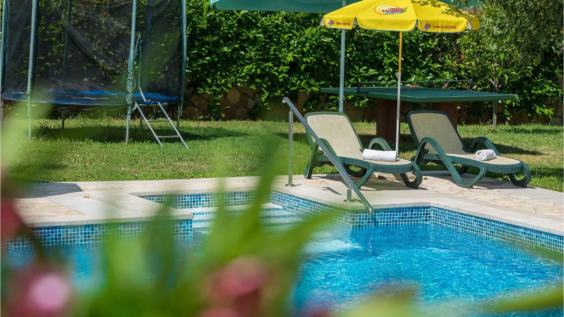 Nice Home In Buje With Outdoor Swimming Pool